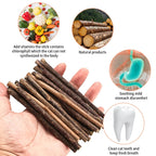 33-Pack Catnip & Silvervine Chew Sticks with 3 Bonus Mouse Toys — Natural Cat Dental Set