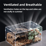Clear Acrylic Reptile Habitat — Anti-Escape Breeding Box for Chameleons & Spiders