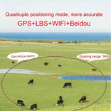 4G Solar GPS Livestock Tracker for Cattle, Sheep, Horses & Camels - Waterproof
