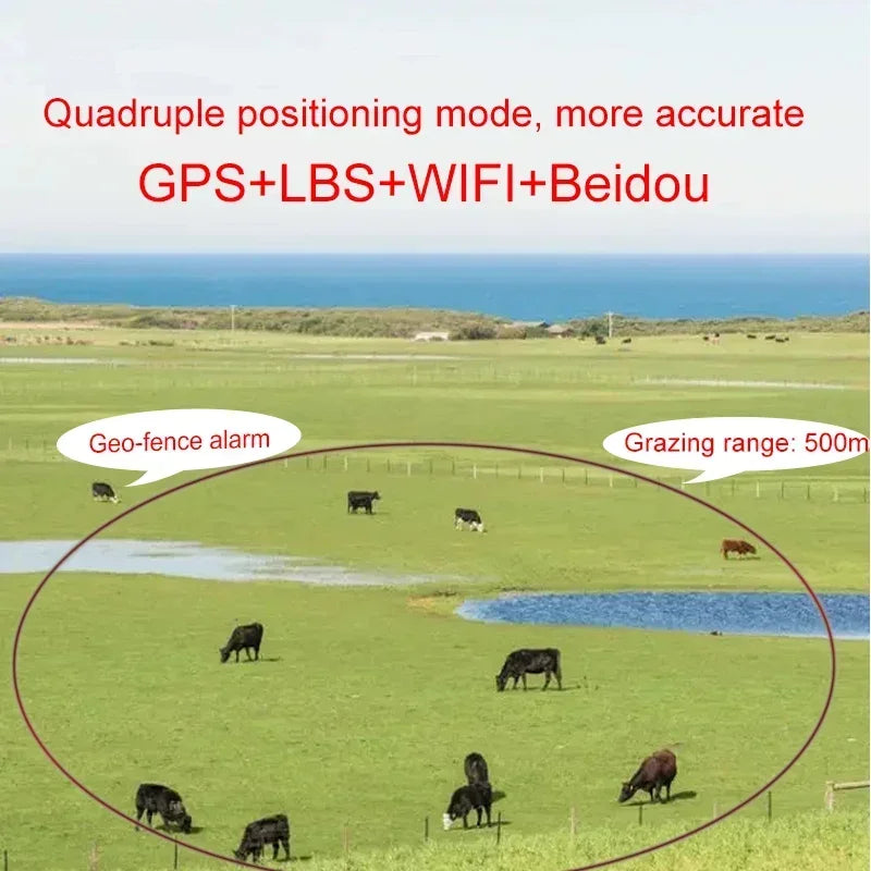 4G Solar GPS Livestock Tracker for Cattle, Sheep, Horses & Camels - Waterproof