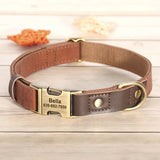 Personalized Dog Collar & Leash Set