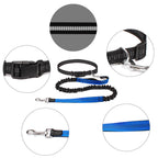 Hands-Free Running Dog Leash with Waist Belt