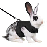 Breathable Vest Harness & Leash Set — For Rabbits, Ferrets & Guinea Pigs