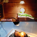 UVA+UVB 3.0 Basking Bulb — Full-Spectrum Heat Lamp for Reptiles