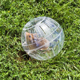 Hamster Exercise Ball — Clear 10cm Running Ball for Safe Free-Roam Play