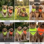 Reflective Luminous Dog Bandana (Soft, Adjustable, Outdoor Walking)