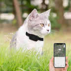 Long Battery GPS Cat & Dog Collar Tracker - Global Safety Locator