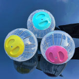 Hamster Exercise Ball — Translucent Running Ball for Rats & Hamsters