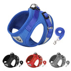 Reflective Escape-Proof Mesh Harness & Leash Set — For Cats & Small Dogs