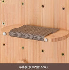 Wall-Mounted Cat Climbing Shelf & Hammock