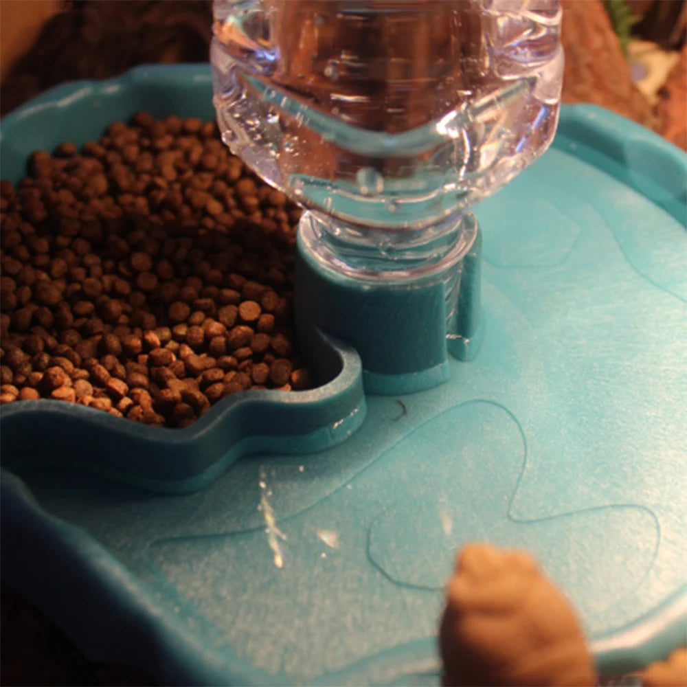 Removable Reptile Feeding Dish — Easy-Clean Bowl for Turtles & Small Pets