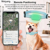 Real-Time GPS Pet Locator with Adjustable Collar for Dogs & Cats
