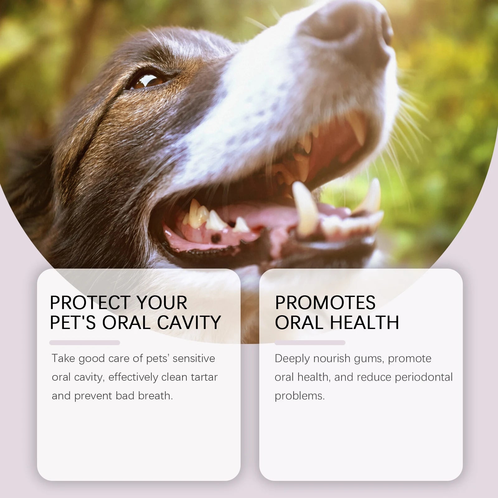 Pet Toothbrush Pen — Tartar & Bad Breath Remover for Dogs & Cats