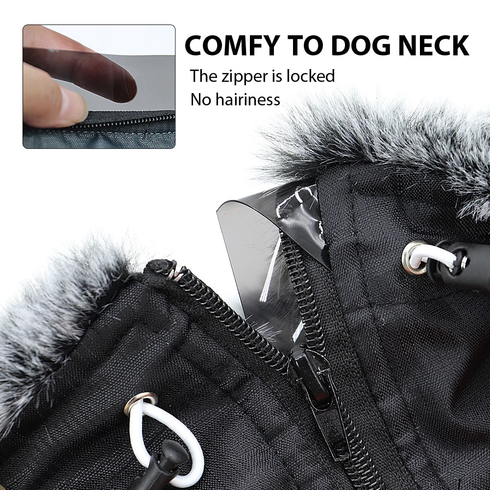 Waterproof Dog Jacket with Built-In Harness