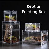 Clear Acrylic Reptile Habitat — Anti-Escape Breeding Box for Chameleons & Spiders