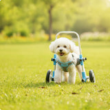 Front Leg Dog Wheelchair Padded Pet Front Leg Wheelchair Mobility Cart Comfortable Long-Lasting for Disabled Dogs