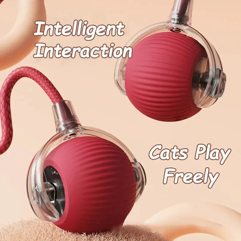 Smart Rolling Ball Toy with Faux Tail — Rechargeable Mouse Mimic