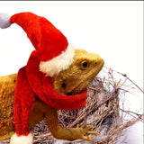 Lizard Christmas Hat & Scarf Set — Festive Costume for Bearded Dragons