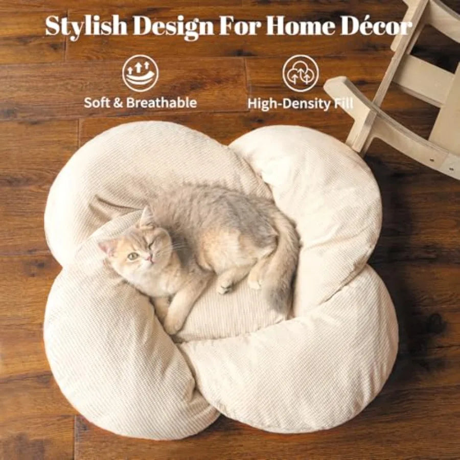 Elevated Wooden Cat Bed with Cushion for Cats & Small Dogs