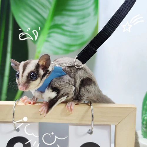 Escape-Proof Harness & Leash Set — Adjustable Collar for Sugar Gliders & Small Pets