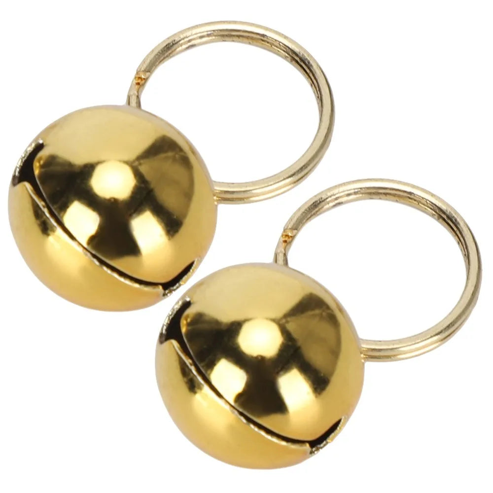 Gold & Silver Pet Collar Charms 2-Pack (Polished, Long-Lasting, Cat & Dog)