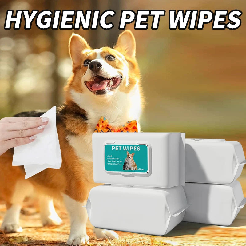 Pure Water Pet Wipes — Single-Use Deodorizing Wipes, 10-Count