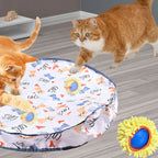 2-in-1 Cat Tunnel Toy with Capture Balls — Interactive Agility Training Tunnel for Cats