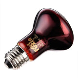 E27 Infrared Heat Bulb — Insulation Heating Lamp for Reptiles & Livestock