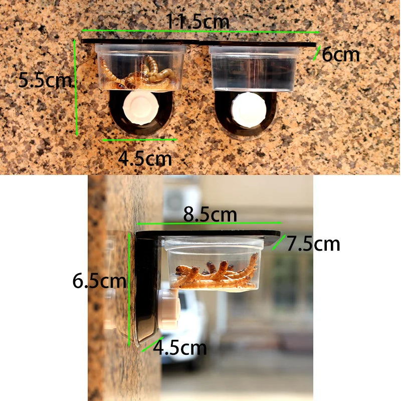 Suction-Mount Reptile Feeder & Water Bowl — Space-Saving Terrarium Dish