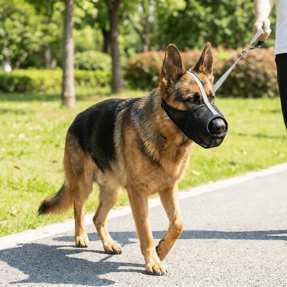 Breathable Mesh PVC Dog Muzzle (Washable, Adjustable, All Breeds)
