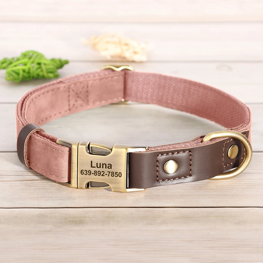 Personalized Dog Collar & Leash Set