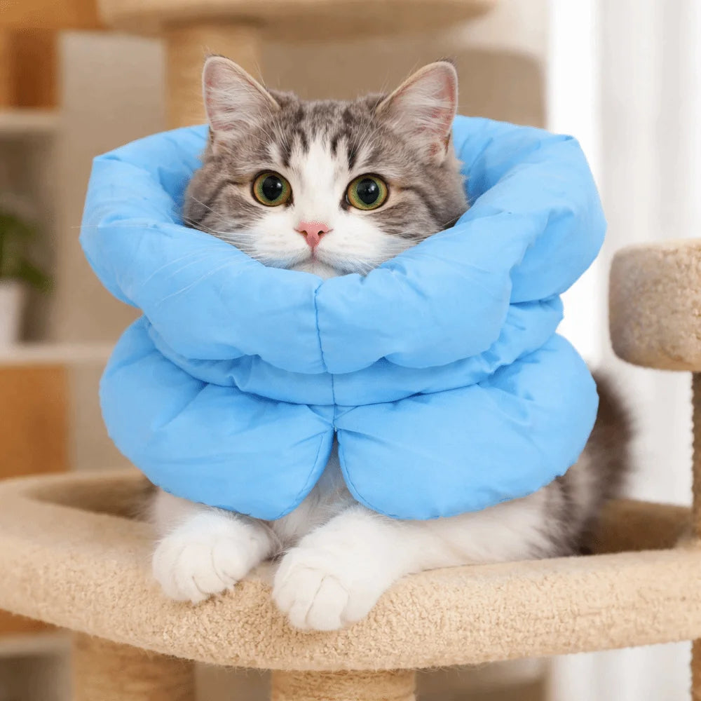 Waterproof Cat Recovery Cone — Adjustable Breathable Anti-Bite E-Collar