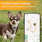 4G GPS Tracker for Small Dogs - Real-Time Tracking with Activity Monitoring (Onyx Black)