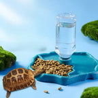 Removable Reptile Feeding Dish — Easy-Clean Bowl for Turtles & Small Pets