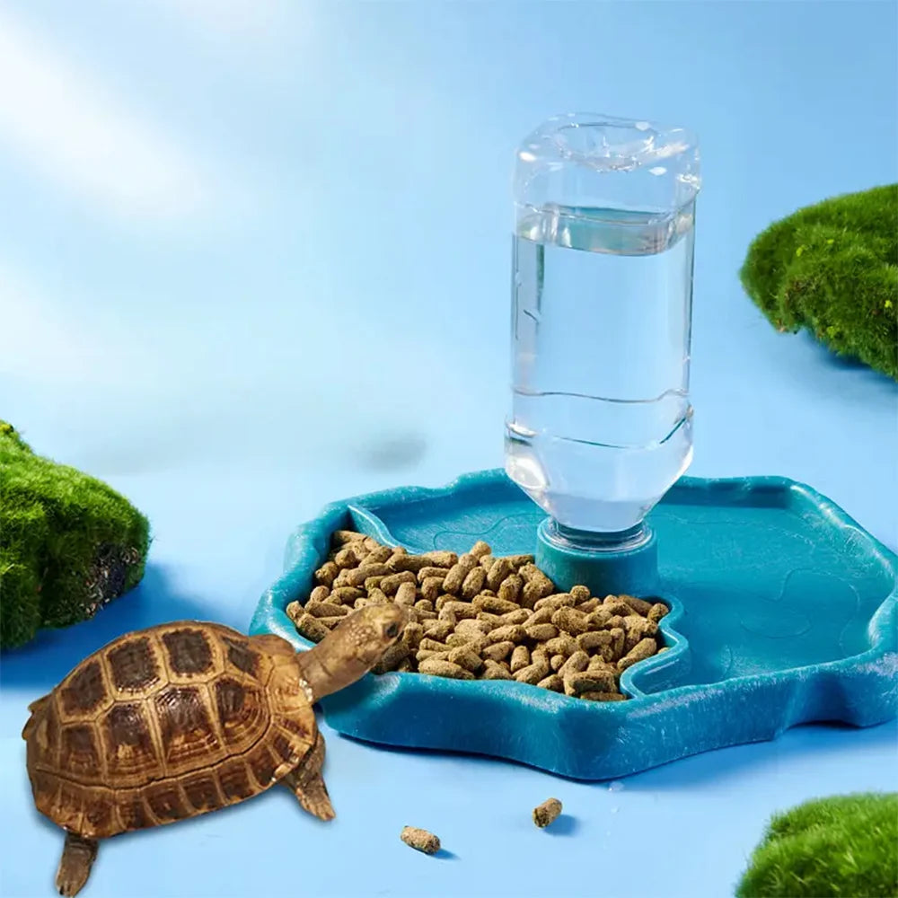 Removable Reptile Feeding Dish — Easy-Clean Bowl for Turtles & Small Pets