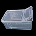 Portable Mini Terrarium Habitat — Transparent Travel Box for Small Reptiles & Insects