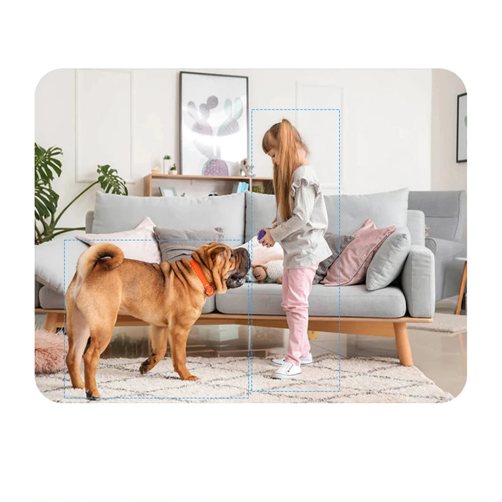 A9 HD WiFi Pet Surveillance Camera with Night Vision & Remote Home Monitoring