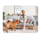 A9 HD WiFi Pet Surveillance Camera with Night Vision & Remote Home Monitoring