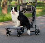 Acrylic Panel Waterproof Breathable Pet Stroller for Small Dogs & Cats