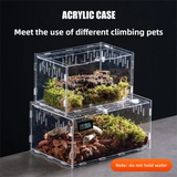 Clear Acrylic Reptile Habitat — Anti-Escape Breeding Box for Chameleons & Spiders