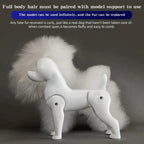 Bichon Grooming Practice Model with Wig