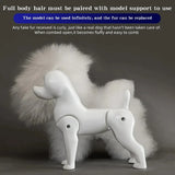 Bichon Grooming Practice Model with Wig