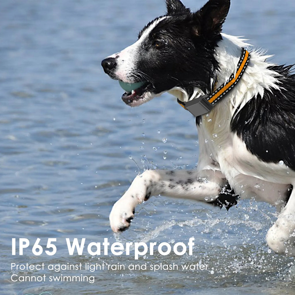 IP67 Waterproof GPS Smart Collar for Cats & Dogs - No Subscription WiFi Real-Time Tracker