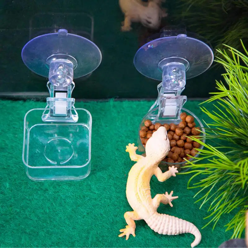 Suction Cup Reptile Feeding Bowl — Mountable Food & Water Dish for Lizards & Frogs