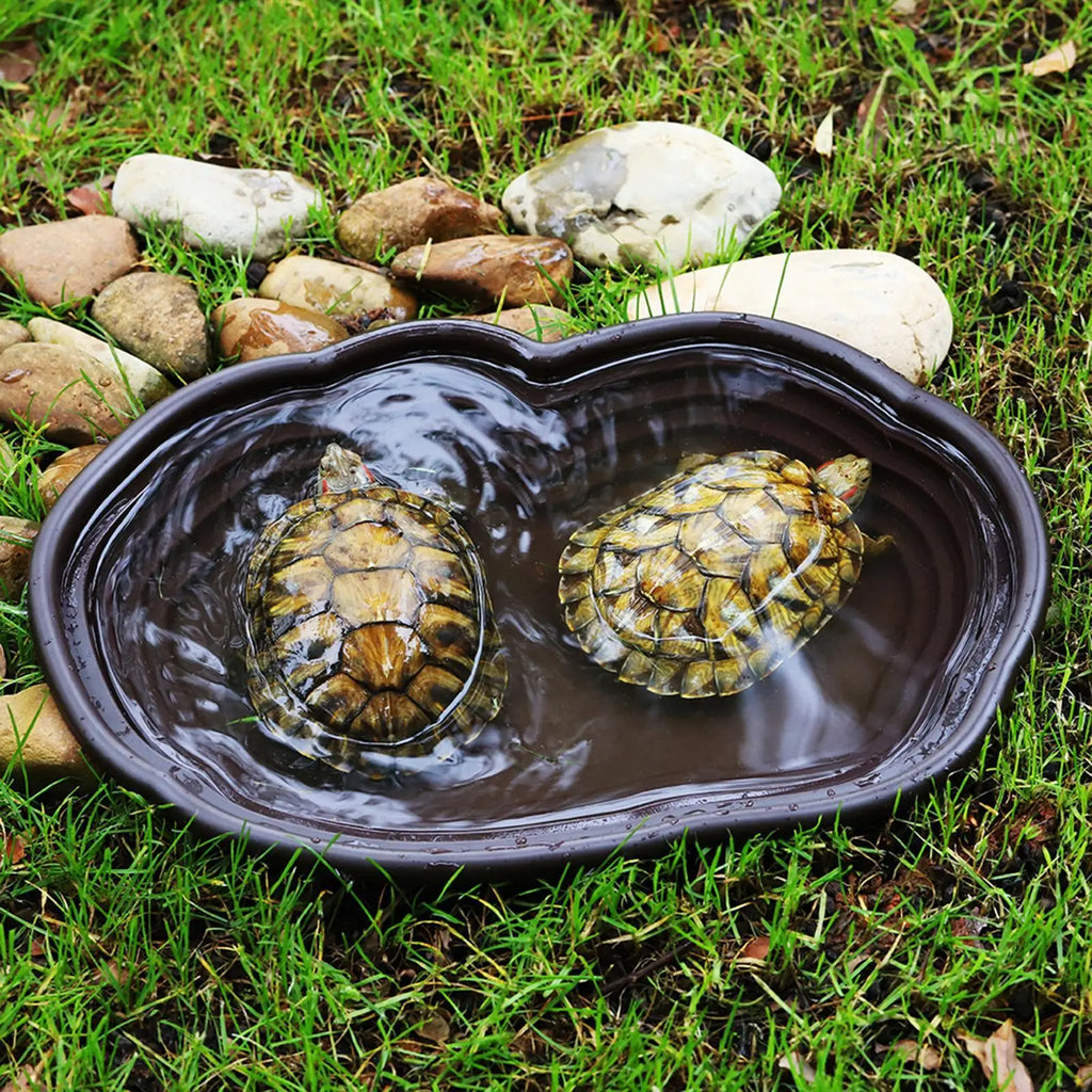Reptile Bathing Pool & Water Dish Set — Ramp Design for Turtles & Tortoises