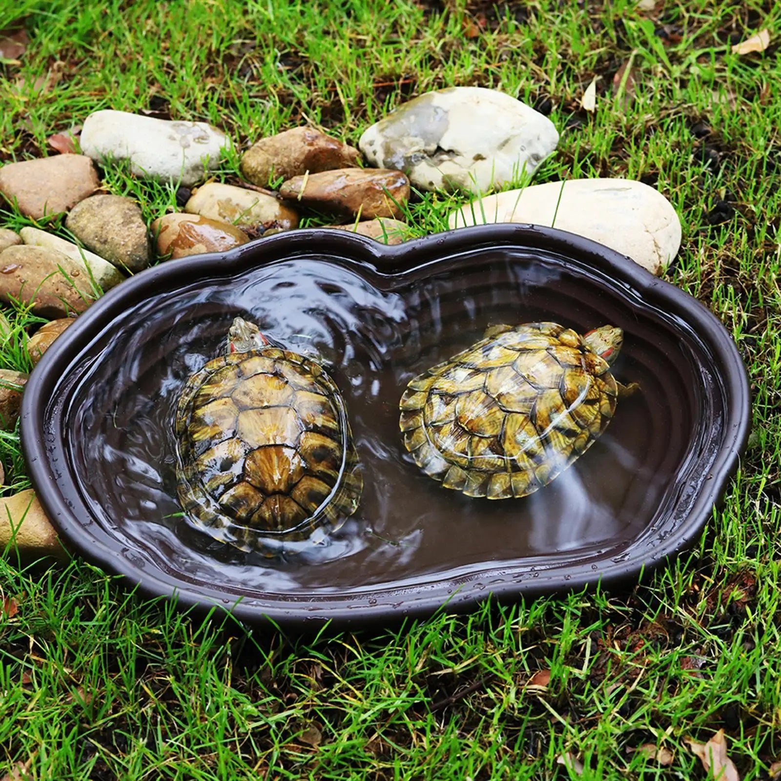 Reptile Bathing Pool & Water Dish Set — Ramp Design for Turtles & Tortoises