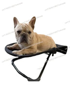 Portable Foldable Rocking Pet Bed for Travel