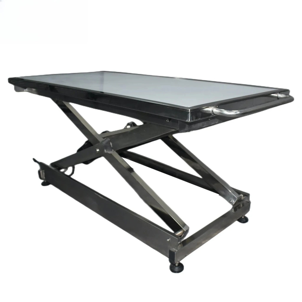 Veterinary Pet Stretcher & Multipurpose Examination Table