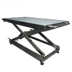 Veterinary Pet Stretcher & Multipurpose Examination Table