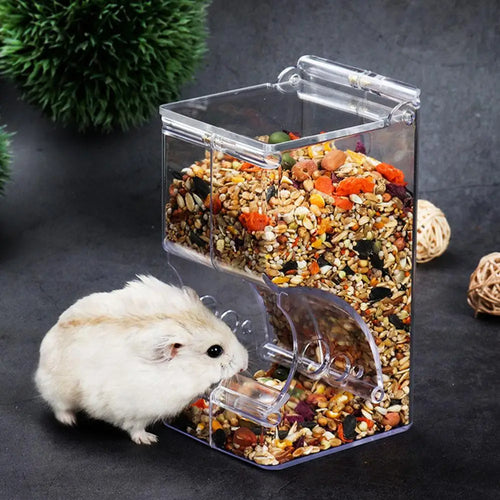 Clear Hanging Food Dispenser for Hamsters & Guinea Pigs